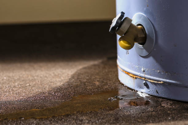  Gaylord, MI Water damage restoration Pros