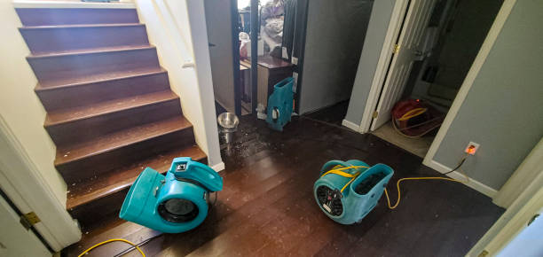 Best Water damage restoration near me  in Gaylord, MI