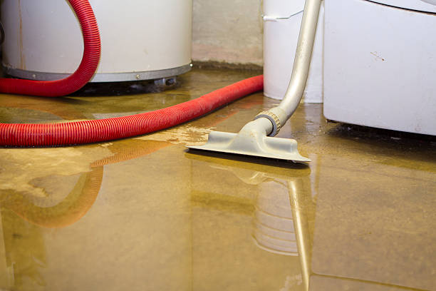 Best Sewage cleanup and water damage restoration  in Gaylord, MI