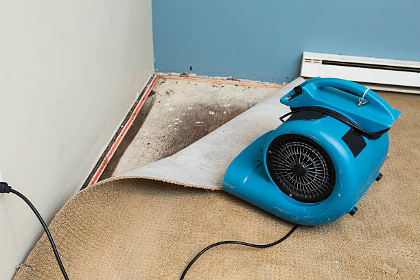 Best Commercial water damage restoration  in Gaylord, MI