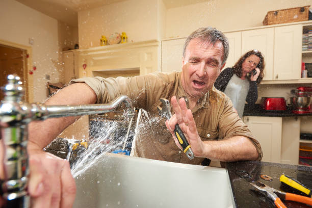Best Carpet water damage restoration  in Gaylord, MI